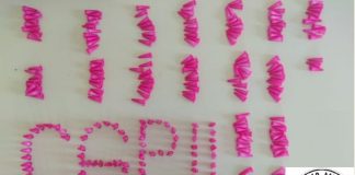 Cerqueira César: Ocorrência com Entorpecente.