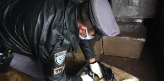 Porangaba: Homem é preso após ser flagrado transportando mais de 900 tabletes de maconha em caminhão