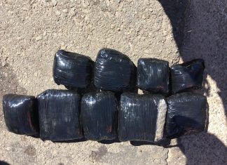 Porangaba: Passageira de ônibus é presa após PM achar pacotes de skunk escondidos em bagagem