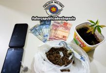 Avaré: Polícia Militar captura procurado e apreende entorpecente