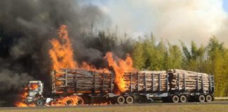 Avaré: Bitrem carregado com madeira pega fogo na Rodovia Castello Branco