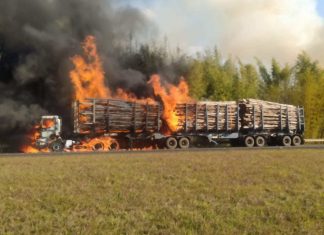 Avaré: Bitrem carregado com madeira pega fogo na Rodovia Castello Branco