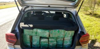 Quase 800 tijolos de maconha são encontrados dentro de carro na Rodovia Castello Branco