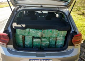 Quase 800 tijolos de maconha são encontrados dentro de carro na Rodovia Castello Branco