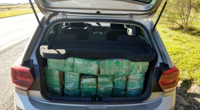 Quase 800 tijolos de maconha são encontrados dentro de carro na Rodovia Castello Branco