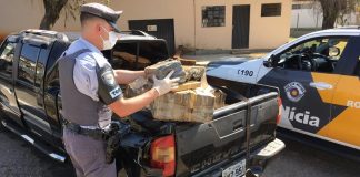 Cesário Lange: Polícia Rodoviária apreende mais de 200 quilos de maconha após caminhonete capotar em rodovia