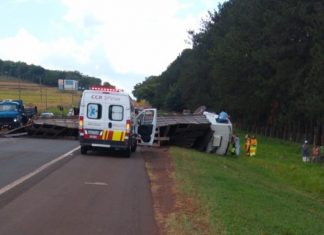 Avaré: Caminhão com bois tomba após batida com carro em rodovia