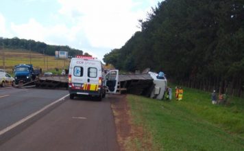 Avaré: Caminhão com bois tomba após batida com carro em rodovia