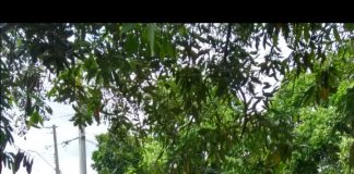 ITAÍ: POLÍCIA MILITAR REALIZA SONHO DE CRIANÇA