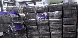 Caminhoneiro e três mulheres são presos transportando mais de 1,5 tonelada de maconha