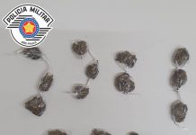 POLÍCIA MILITAR APREENDE MENOR DE IDADE POR ATO INFRACIONAL DE TRÁFICO DE DROGAS