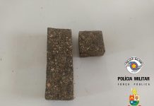 NO COMBATE AO TRÁFICO DE DROGAS, POLÍCIA MILITAR PRENDE 1 INFRATOR EM AVARÉ