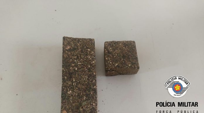 NO COMBATE AO TRÁFICO DE DROGAS, POLÍCIA MILITAR PRENDE 1 INFRATOR EM AVARÉ