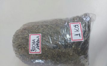 EM AVARÉ: HOMENS SÃO DETIDOS COM 1 KG DE MACONHA
