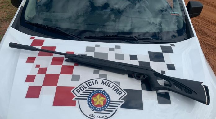 AÇÃO CONJUNTA ENTRE A POLÍCIA MILITAR, AMBIENTAL E BAEP COÍBE A CAÇA DE PÁSSAROS SILVESTRES EM AVARÉ