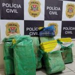 PIRAJU: Polícia Civil de Avaré prende dupla que transportava 170 tijolos de maconha