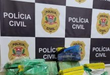 PIRAJU: Polícia Civil de Avaré prende dupla que transportava 170 tijolos de maconha