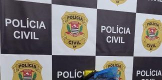PIRAJU: Polícia Civil de Avaré prende dupla que transportava 170 tijolos de maconha