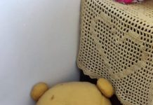 ADOLESCENTE QUE ESCONDIA DROGA DENTRO DE URSO DE PELÚCIA É APREENDIDO PELA PM EM AVARÉ