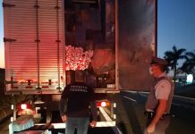 AVARÉ: Polícia Militar Rodoviária apreende meio milhão de maços de cigarros