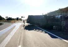 ITATINGA: Carreta tomba e carga de madeira interdita faixa da Castelo Branco