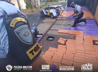 MARÍLIA: TOR PRENDE TRAFICANTE E APREENDE GRANDE QUANTIDADE DE MACONHA