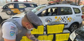 QUADRA: Polícia apreende mais de 200 quilos de maconha no centro