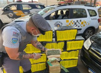 QUADRA: Polícia apreende mais de 200 quilos de maconha no centro