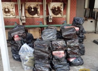 BOTUCATU: Polícia Civil incinera mais de 1 tonelada de maconha