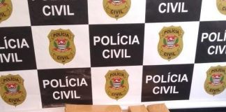 BOTUCATU: Polícia Civil apreende 19 tijolos de maconha