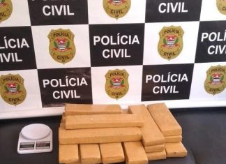BOTUCATU: Polícia Civil apreende 19 tijolos de maconha