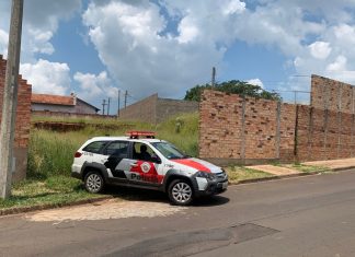 HOMEM É PRESO PELA POLÍCIA MILITAR POR TENTATIVA DE ESTUPRO EM AVARÉ