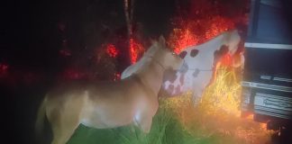 Averiguação de atividade suspeita em Itaí