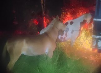 Averiguação de atividade suspeita em Itaí