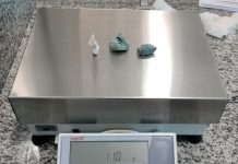 CAPTURA DE PROCURADO/PORTE DE DROGAS E RESISTÊNCIA