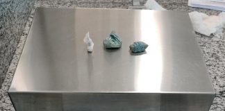 CAPTURA DE PROCURADO/PORTE DE DROGAS E RESISTÊNCIA