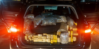 Homens são presos com mais de meia tonelada de maconha em rodovia de Tatuí