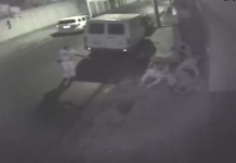 Grupo é preso em flagrante após invadir casa de idosa para furtar joias no interior de SP