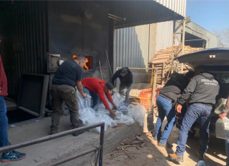 Polícia incinera mais de meia tonelada de drogas apreendidas no interior de SP