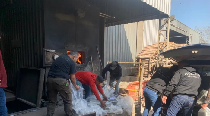 Polícia incinera mais de meia tonelada de drogas apreendidas no interior de SP