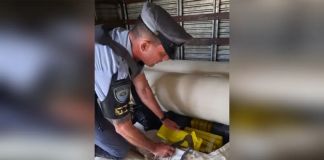 Polícia apreende quase duas toneladas de maconha em rodovia do interior de São Paulo