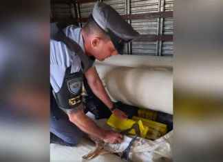 Polícia apreende quase duas toneladas de maconha em rodovia do interior de São Paulo