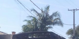 POLÍCIA MILITAR PRENDE AUTOR DE INCÊNDIO A VEÍCULOS EM PARANAPANEMA