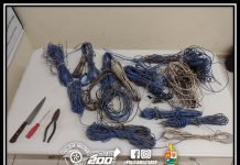 POLÍCIA MILITAR PRENDE AUTOR DE FURTO EM AVARÉ