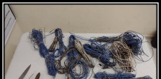 POLÍCIA MILITAR PRENDE AUTOR DE FURTO EM AVARÉ