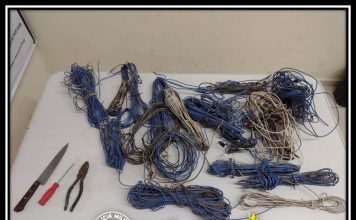 POLÍCIA MILITAR PRENDE AUTOR DE FURTO EM AVARÉ