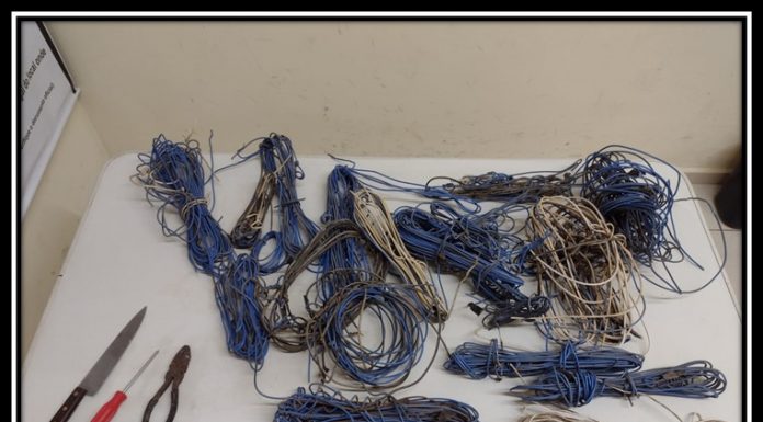 POLÍCIA MILITAR PRENDE AUTOR DE FURTO EM AVARÉ