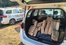 POLÍCIA MILITAR LOCALIZA QUASE 400 QUILOS DE MACONHA E DOIS CRIMINOSOS SÃO PRESOS
