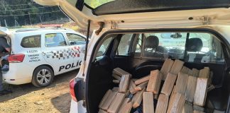 POLÍCIA MILITAR LOCALIZA QUASE 400 QUILOS DE MACONHA E DOIS CRIMINOSOS SÃO PRESOS