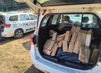 POLÍCIA MILITAR LOCALIZA QUASE 400 QUILOS DE MACONHA E DOIS CRIMINOSOS SÃO PRESOS